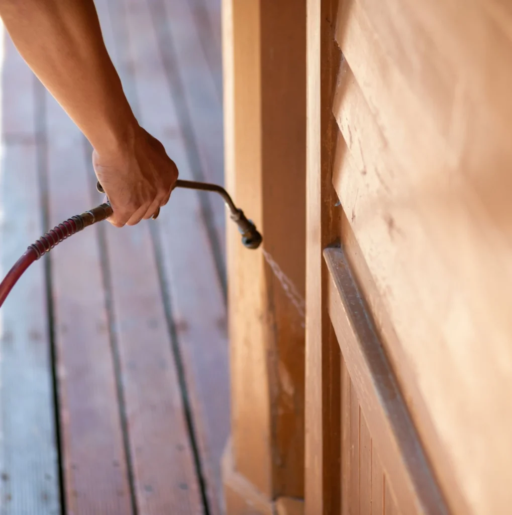 Trusted Pest Control - Jackson Heights Pest Control Pros | Jackson Heights, NY | 631-528-6980
